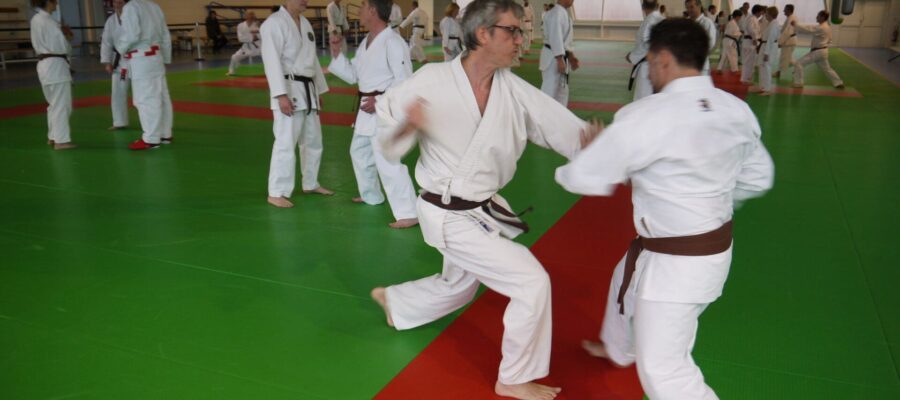 P1000085 P1000085