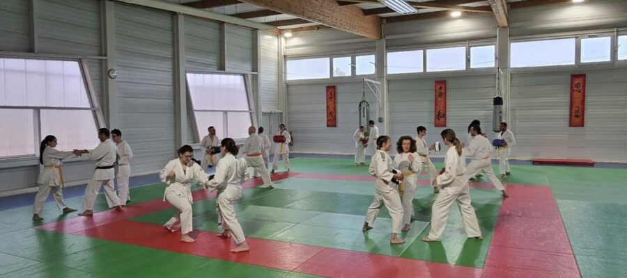 IMG_0417 IMG_0417